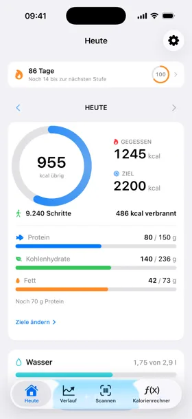 Heute-Ansicht in Version 1.1 mit Serie, Tagesring, Makronährstoffen und Wasser